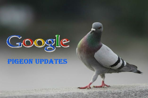 Pigeon Updates